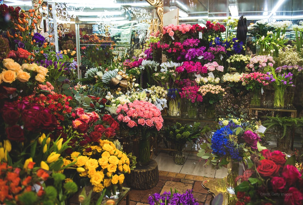 vivaio Riscaldatori elettrici proteggono un vivaio dal freddo