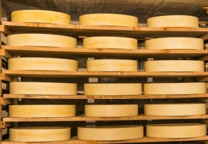 Formaggio Caseificio richiede urgentemente dei deumidificatori