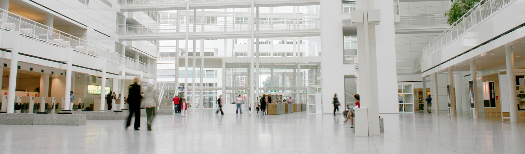 Fermo Testo per immagine